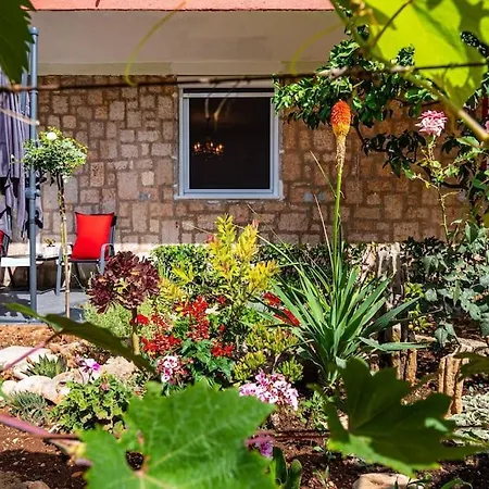 Apartment Luxury Modern With Garden Near Old Town Zadar
