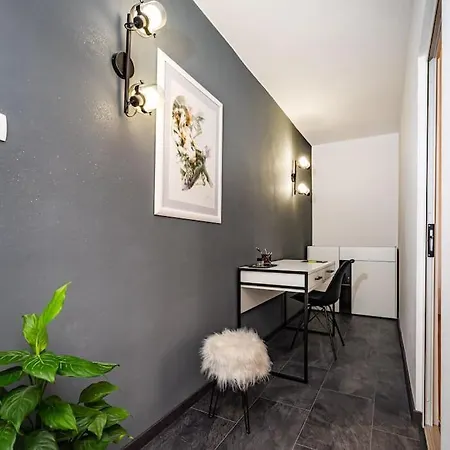 Luxury Modern With Garden Near Old Town Apartment